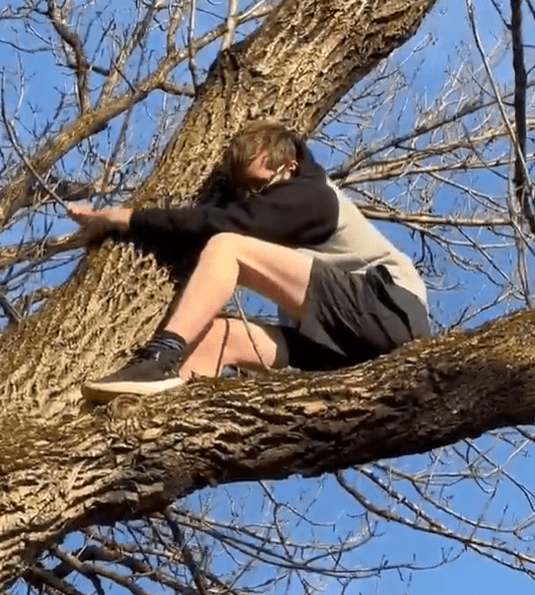 Indianapolis Teen Left Stranded in Tree After Trying to Rescue Cat